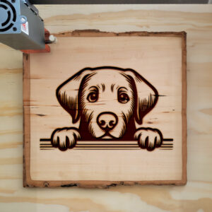 585389_wood-laser-1.jpg