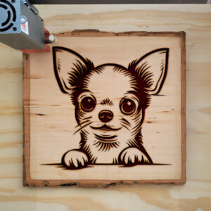 585408_wood-laser-1.jpg