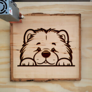 585446_wood-laser-1.jpg
