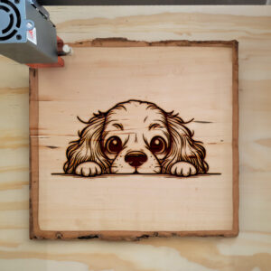 585476_wood-laser-1.jpg