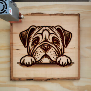 585484_wood-laser-1.jpg