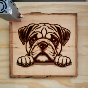 585495_wood-laser-1.jpg