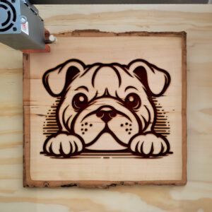 585499_wood-laser-1.jpg