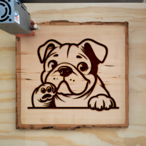 585503_wood-laser-1.jpg