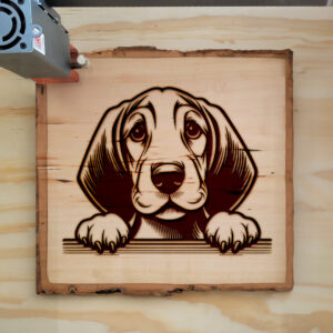 585507_wood-laser-1.jpg