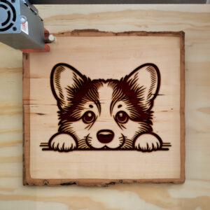 585548_wood-laser-1.jpg