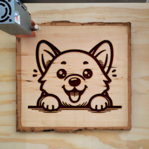 585564_wood-laser-1.jpg