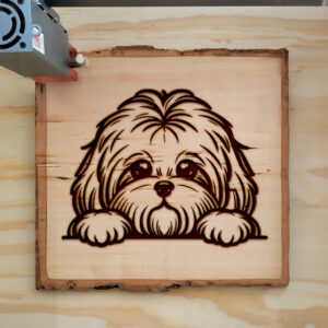 585602_wood-laser-1.jpg
