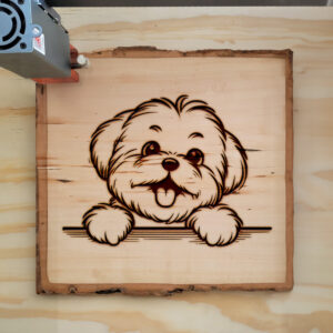585614_wood-laser-1.jpg