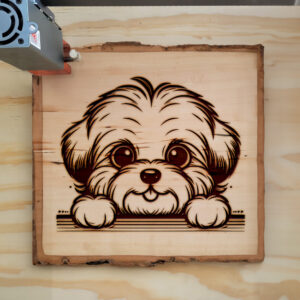 585621_wood-laser-1.jpg