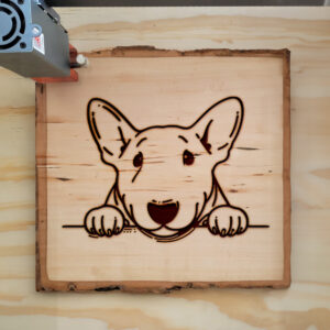 585845_wood-laser-1.jpg