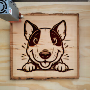 585886_wood-laser-1.jpg