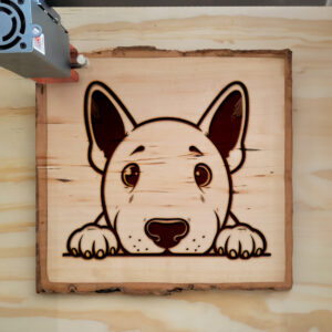 585903_wood-laser-1.jpg