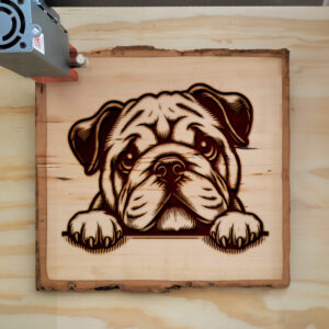 585914_wood-laser-1.jpg