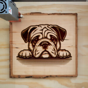 585918_wood-laser-1.jpg