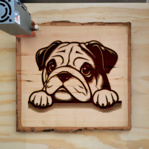 585922_wood-laser-1.jpg