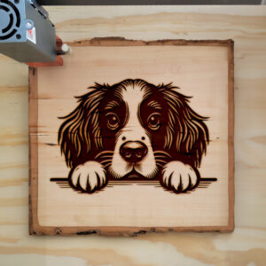 585924_wood-laser-1.jpg