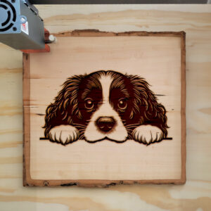 585939_wood-laser-1.jpg