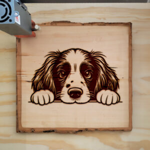 585945_wood-laser-1.jpg