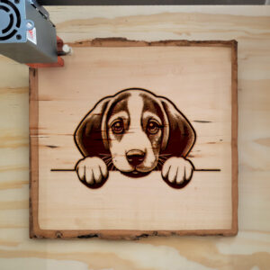 585963_wood-laser-1.jpg