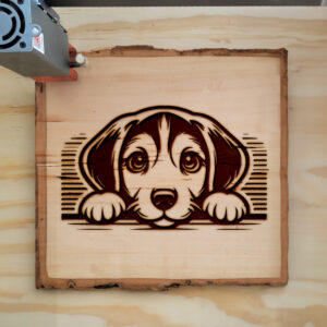 585970_wood-laser-1.jpg