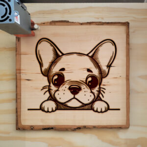 586002_wood-laser-1.jpg