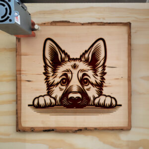 586005_wood-laser-1.jpg