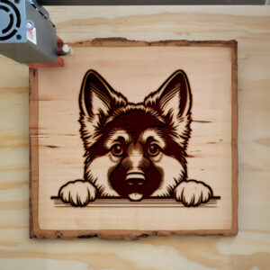 586007_wood-laser-1.jpg