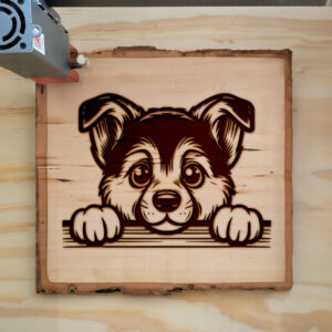 586093_wood-laser-1.jpg