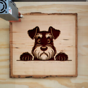 586188_wood-laser-1.jpg