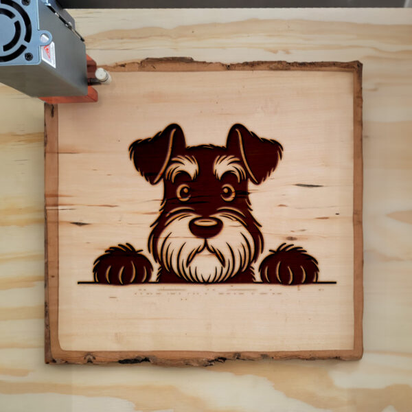 Wise Whiskered Giant Schnauzer SVG File for Cricut & Silhouette