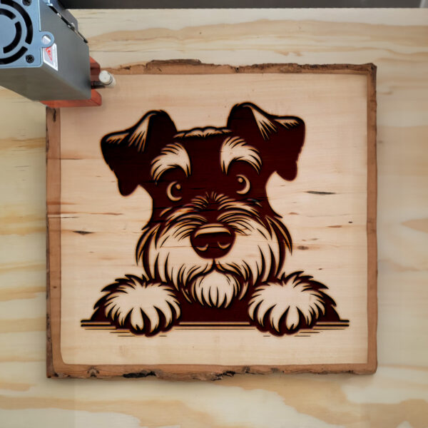 586194_wood-laser-1.jpg