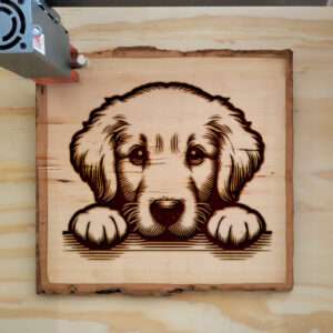 586241_wood-laser-1.jpg