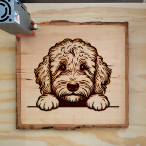 586251_wood-laser-1.jpg