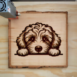 586260_wood-laser-1.jpg