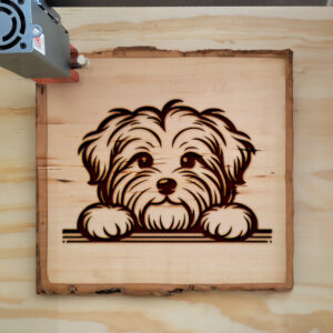 586363_wood-laser-1.jpg