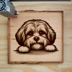 586366_wood-laser-1.jpg