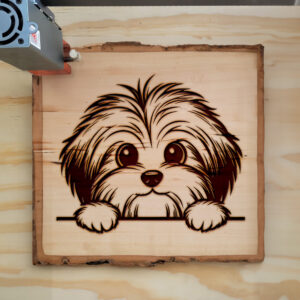 586403_wood-laser-1.jpg