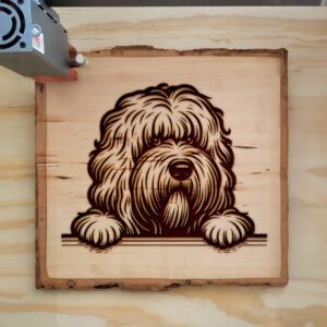 586607_wood-laser-1.jpg
