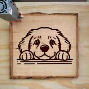 586639_wood-laser-1.jpg