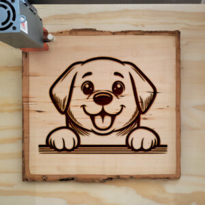 586646_wood-laser-1.jpg
