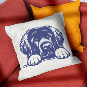 586659_pillow-3.jpg