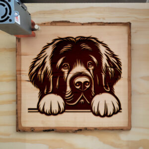 586659_wood-laser-1.jpg