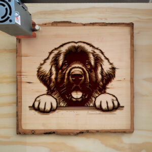 586664_wood-laser-1.jpg