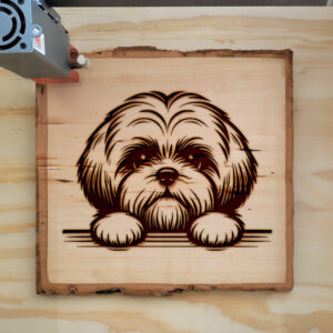586672_wood-laser-1.jpg