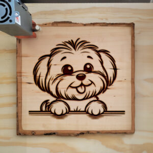 586706_wood-laser-1.jpg