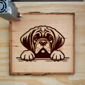 586717_wood-laser-1.jpg