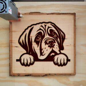 586719_wood-laser-1.jpg