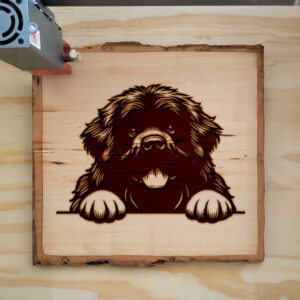 586819_wood-laser-1.jpg