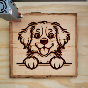 586873_wood-laser-1.jpg
